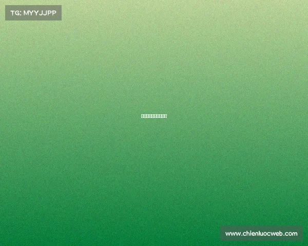 致派网络科技有限公司